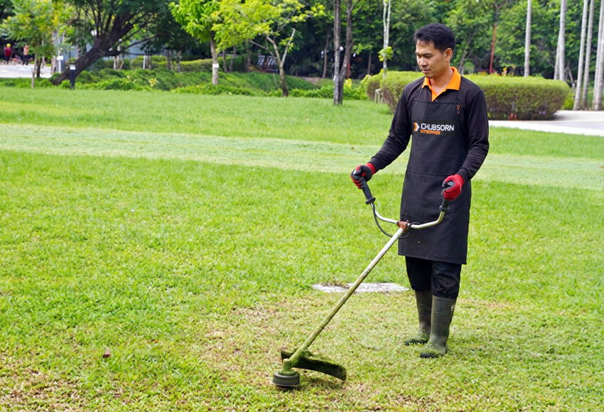 our_service